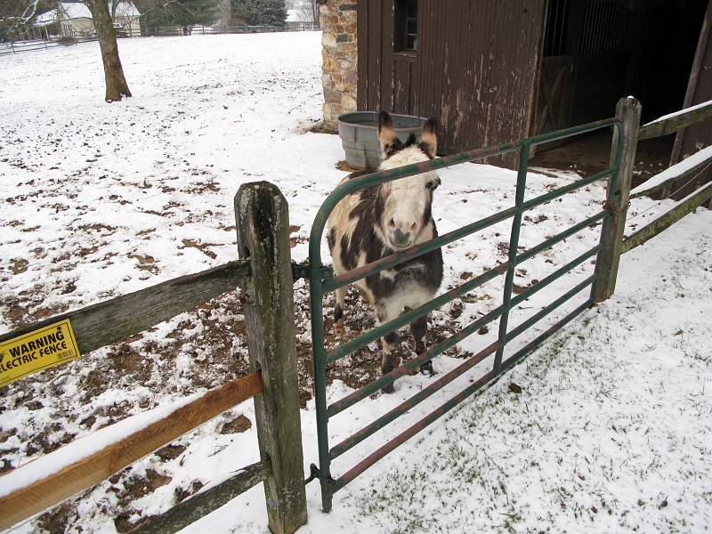 IMG_1408.JPG - You got any cookies, bud?