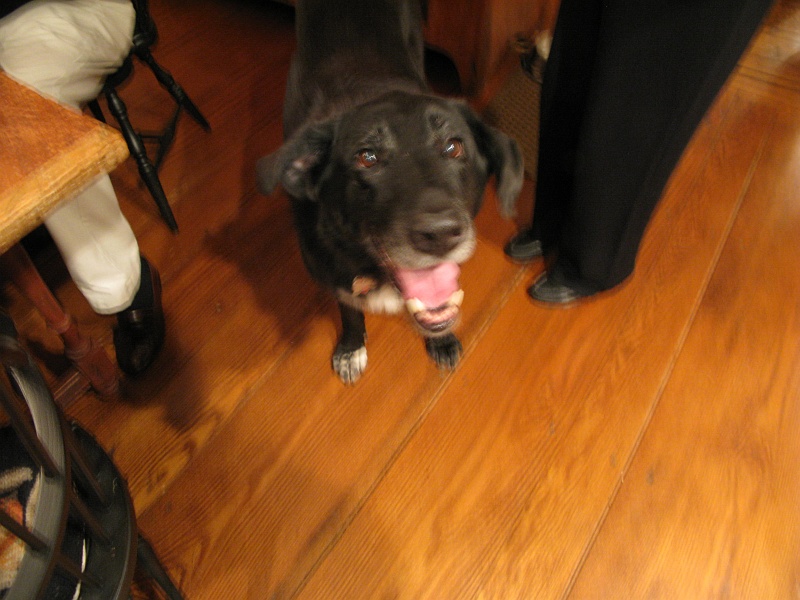IMG_1443.JPG - Mr. Guinness