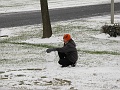 IMG_1382