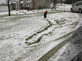 IMG_1385