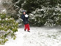 IMG_1389