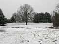 IMG_1395