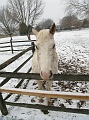 IMG_1407