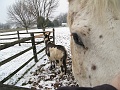 IMG_1414