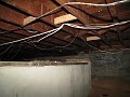 IMG_1515