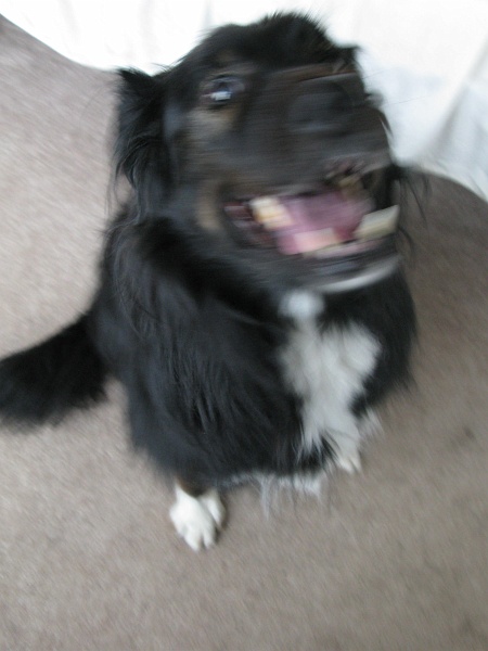IMG_1524.JPG - I'M FREAKING OUT.