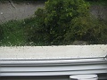 IMG_1522