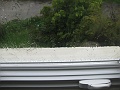 IMG_1523