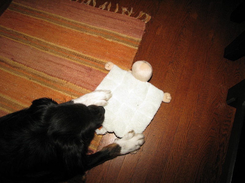 IMG_1547.JPG - Most plush toys he'll destroy in < 10 minutes now and then he's not really interested. This one worked him for 20 minutes just for one cell and he put it aside for later.