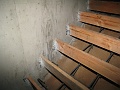 IMG_1554