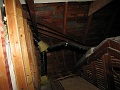 IMG_1701