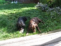 IMG_1736