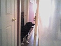supervisor