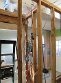 IMG_1785