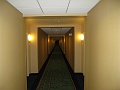 IMG_1805