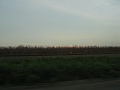 IMG_1864