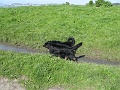 IMG_1915