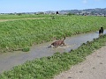 IMG_1919