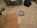 IMG_1925