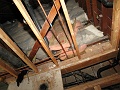 IMG_2050