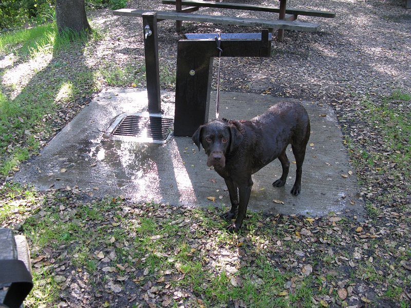 IMG_2072.JPG - After about 10 minutes of water torture he was ready to confess to anything.