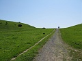 IMG_2061