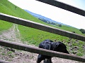 IMG_2064