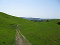 IMG_2065