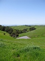 IMG_2066