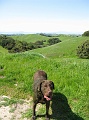 IMG_2067