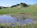 IMG_2068