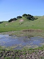 IMG_2069