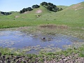 IMG_2070