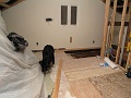 IMG_2081