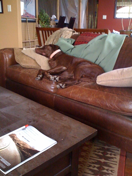IMG_0232.JPG - More comfy.