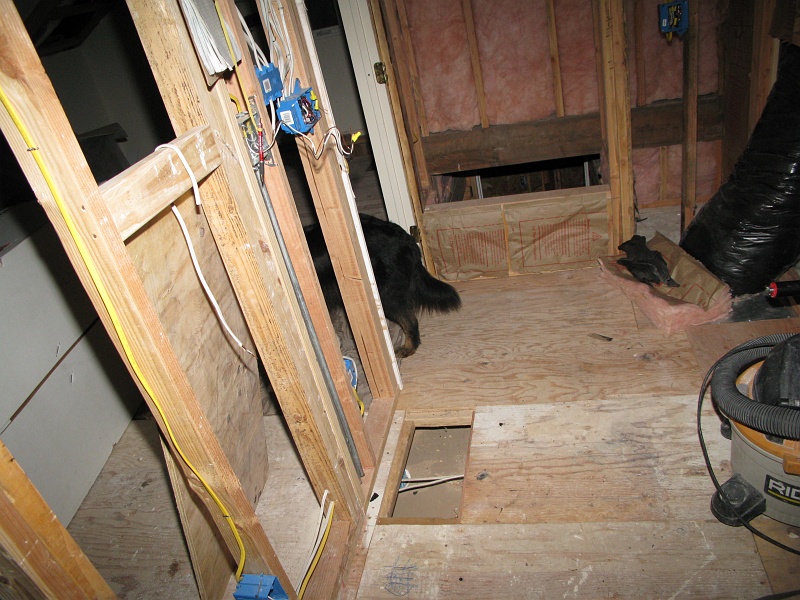 IMG_2124.JPG - He's not afraid of the work zone anymore but he's still not fond of having his picture taken.