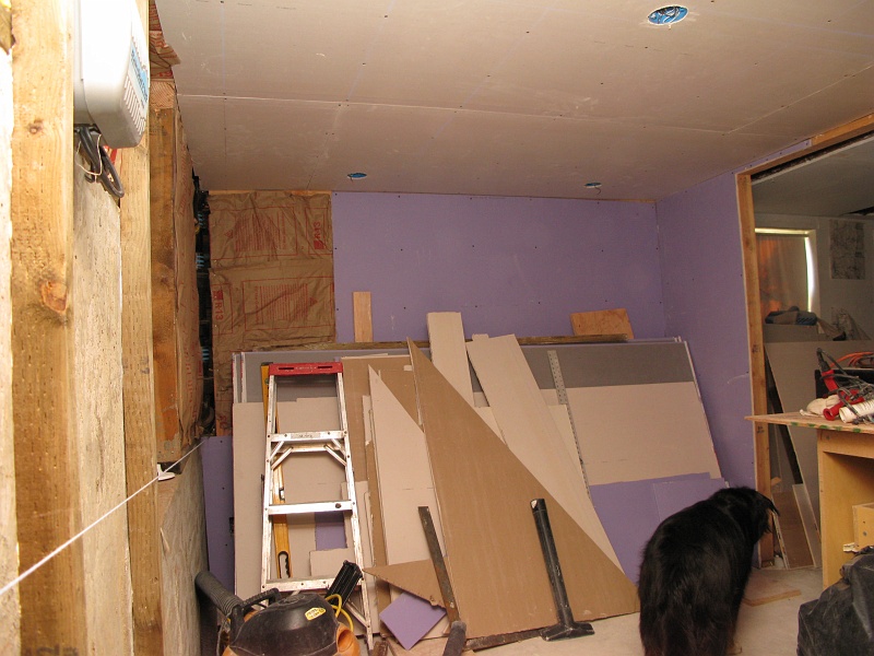 IMG_2159.JPG - Waterproof wallboard is purple now.