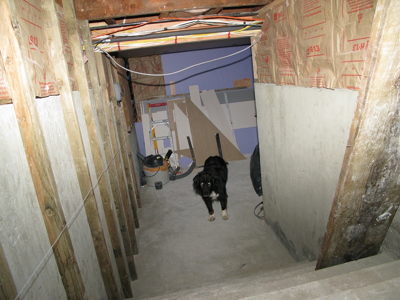 IMG_2161.JPG - Those 2x4 had to each be hand split to keep things plumb.