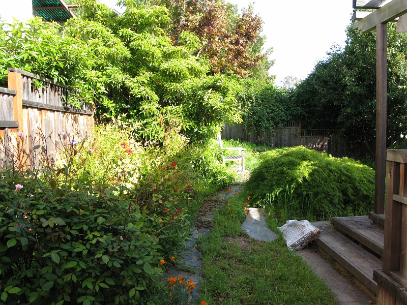 IMG_2173.JPG - Some "before" pics of the yard. Going to interview a new landscaper tomorrow.  Guy I've been using has had way too long to show up and do the work and just hasn't been bothered to even explain why he's been a noshow.