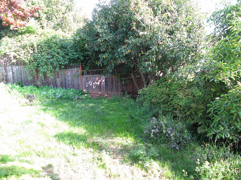 IMG_2176.JPG - You can't even see the walkway on that side of the yard.