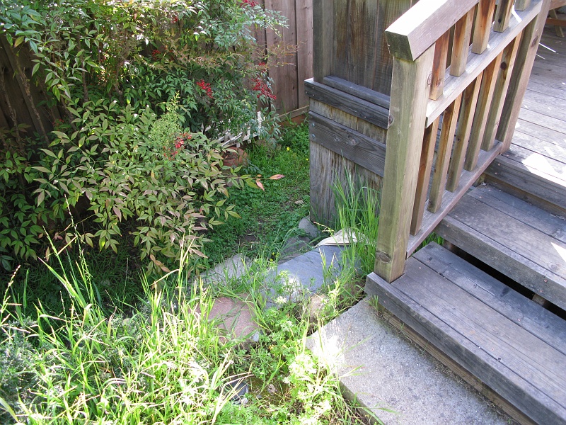 IMG_2178.JPG - Right about there. Should be easy to do with some stone that is already in the yard.