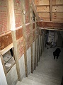 IMG_2162