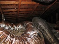 IMG_2191