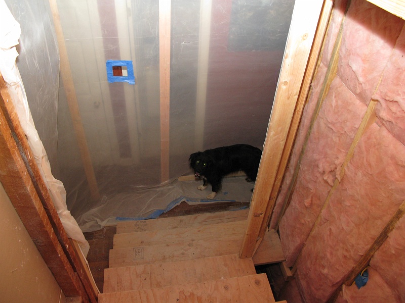 IMG_2200.JPG - Schaefer can't wait for this all to be done done done.