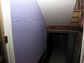 IMG_2201