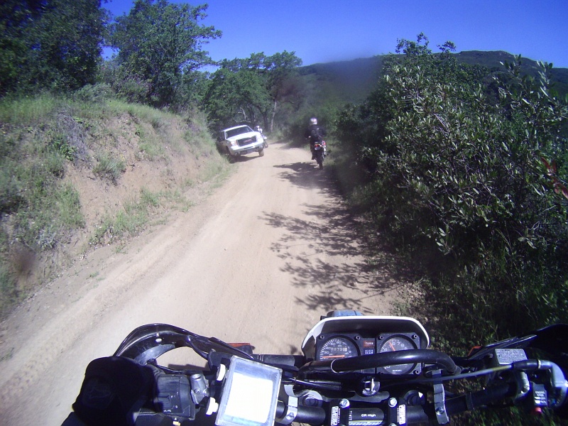 PICTa0705.JPG - In case you needed a reminder that this course is open to 2 way traffic.