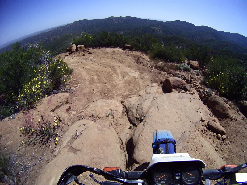 PICTa1250.JPG - There were quite a few step-downs on this ride.