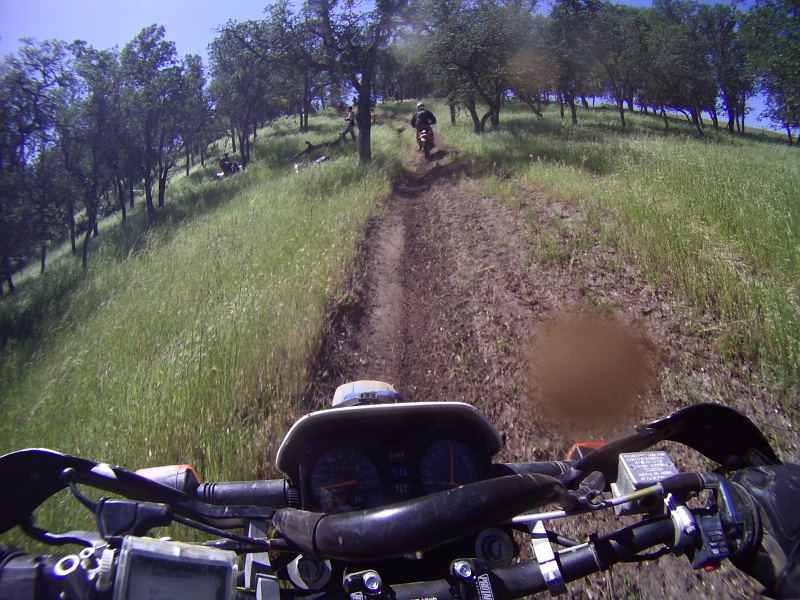 PICTa1807.JPG - Ranch trails were fresh cut and often were still covered in freshly trampled grass. Traction was kind of dubious in corners.