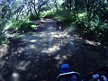 PICTa0607