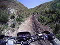 PICT0298